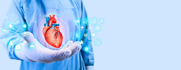 heart attack, human heart isolated on light background. cardiology and medical care for heart...