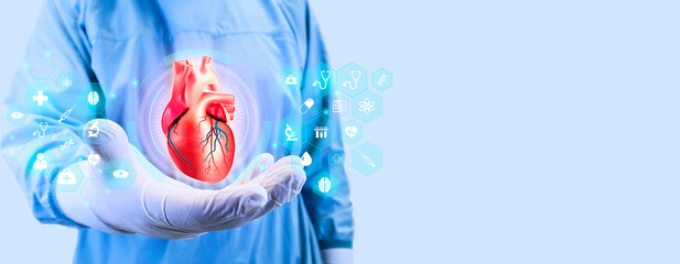 heart attack, human heart isolated on light background. cardiology and medical care for heart...