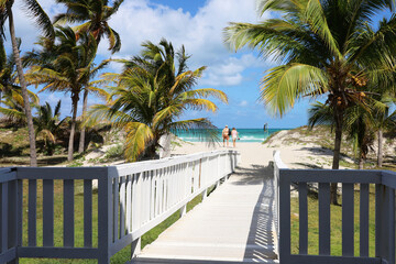 Picturesque view to tropical beach with white sand and coconut palm trees. Wooden path to ocean coast, tourist resort on Caribbean island