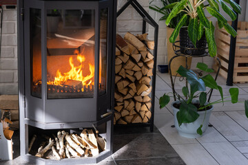 Black Metal Steel fireplace stove with fire and firewood in green home with indoor plant in flower...
