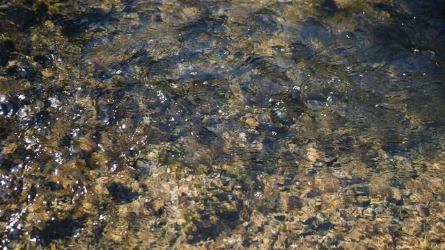 The flow of a clear sunny river in slow motion