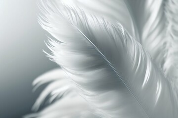 Delicate elegant white feather on solid background. Generative AI