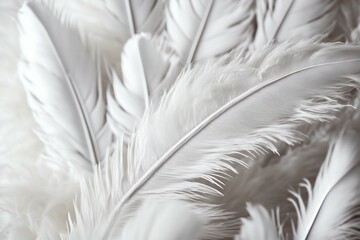 Delicate elegant white feathers background. Generative AI