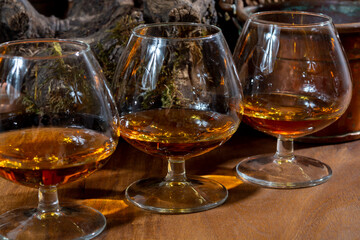 Tasting of aged french cognac brandy alcoholic drink in old cellars of cognac-producing regions Champagne or Bois, France