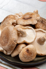 Fresh brown Lentinula edodes or shiitake edible mushrooms from Japan
