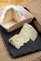 Cheese collection, soft cow French cheese with mold Gaperon artisanal lavored with cracked peppercorns and garlic produced in Auvergne