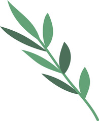 Green branches for decor bouquets