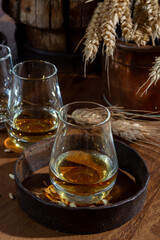 Speyside scotch whisky tasting on old dark wooden vintage table with barley grains close up