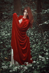 Beautiful fantasy woman with red cloak