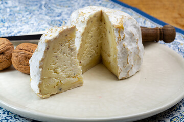 Cheese collection, soft cow French cheese with mold Gaperon artisanal lavored with cracked peppercorns and garlic produced in Auvergne