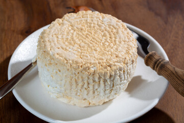 Polish skimmed fresh smoked milk twarog cheese, white cow cheese compared to curd, quark, or cottage cheese made in Poland