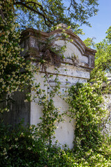 An old marble tomb covered in vines in Lafayette Cemetary, New Orleans