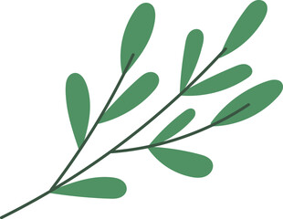 Green branches for decor bouquets