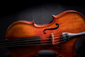 Violin on Grey Background with shadow