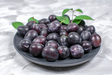 Fresh plums on a plate gray concrete background. Close-up. Selective focus.