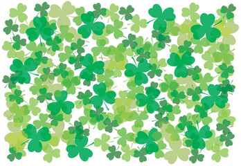Green shamrock clover leaves. Vector outline illustration and background.