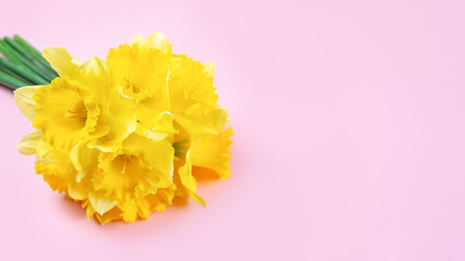 Bouquet of yellow bright daffodils flowers, Easter bells on pink background. Blooming spring flowers. Mockup, template for holiday, mother's day. Banner, header, top view, flat lay with copy space.