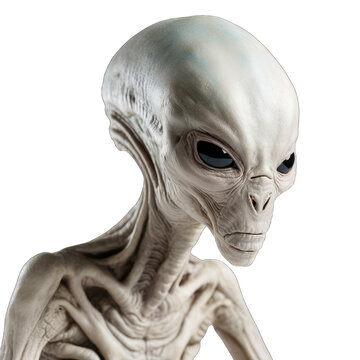 A White Alien With Black Eyes, Transparent Background Png