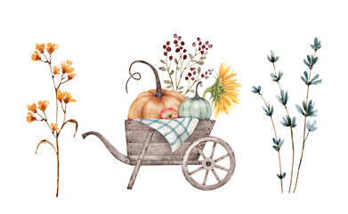 A set of watercolor illustrations harvest vegetables pumpkins in a wheelbarrow and plants and flowers.