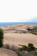 Sand dunes on the coast of Concón, Chile