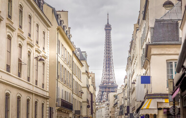 Fototapeta na wymiar Paris and the Eiffel Tower, France