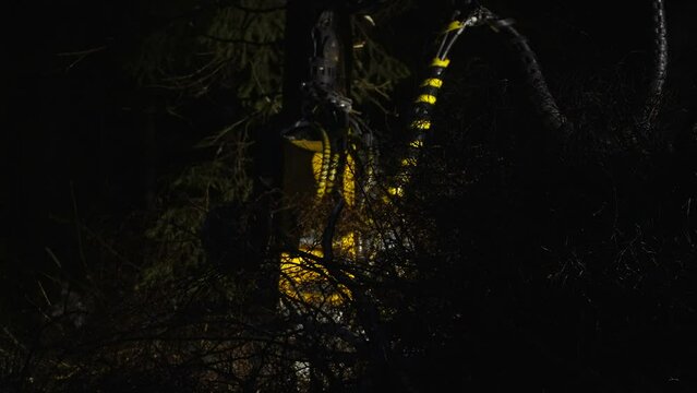 The big tree harvester machine in the forest during the night time cleaning out the log in Estonia