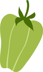 Hand drawn pepper on a transparent background.