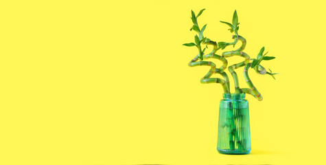 Vase with bamboo branches on yellow background with space for text