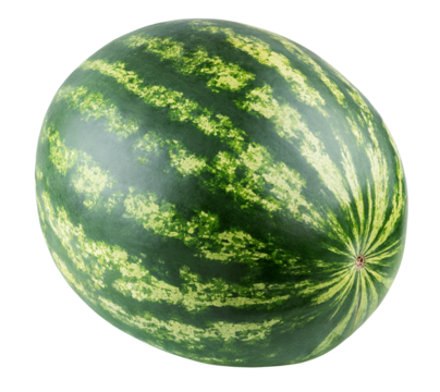 Single full watermelon isolated on transparent background. Full Depth of Field