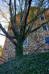 Nature and the old building, both survived for centuries, Laurel, MD, USA
