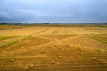 farmers use agricultural machinery to compact rice straws and bundle them in the field in Quang Nam Province, Vietnam