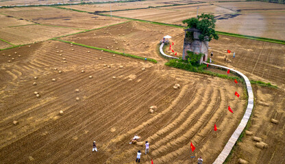 farmers use agricultural machinery to compact rice straws and bundle them in the field in Quang Nam Province, Vietnam