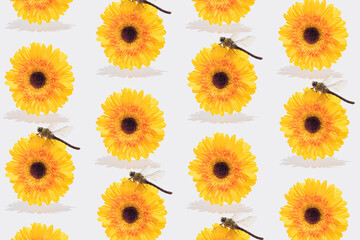 Aesthetic, surreal spring or summer composition with yellow Gerbera Daisies and a dragonfly on white background. Spring and summer vibes. Seamless pattern.
