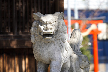 神社の狛犬阿形のバストアップ