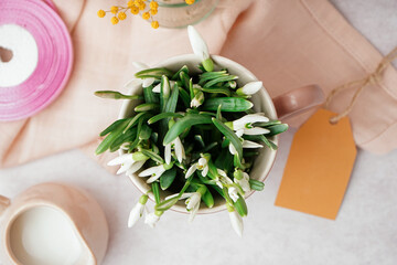 Cup with beautiful snowdrops on grey table