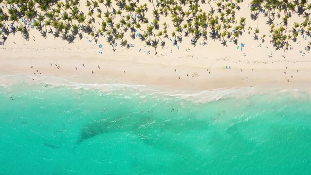 Pristine and bounty shore. Arena Gorda beach with resorts. People faving fun on caribbean coastline. Aerial view from drone