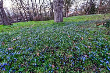 Abend im Linden .Hannover.