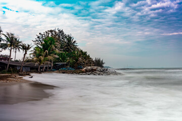 beach with palm trees