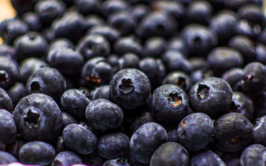 Blueberry foreground textures background with space for text.