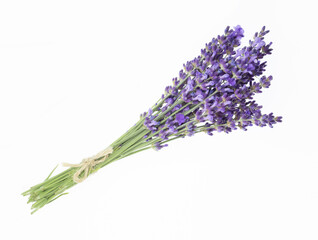 Lavender bouquets on an isolated background. Purple flowers.