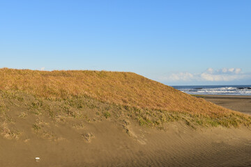 白い雲、青い空、海の前にある砂の山に草が生えていました。
