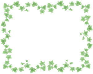 ヘデラのフレーム　水彩風イラスト