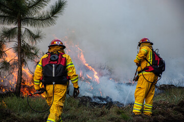 firefighters in action