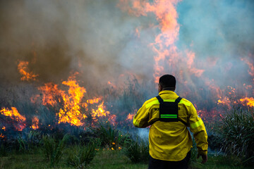 firefighter in action