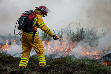 Naklejka premium firefighter in action