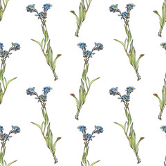 Fototapeta na wymiar Seamless pattern with watercolor forget - me - not on white background. Spring and summer flower for sketchbook or card. Hand-drawn art for wallpaper or wrapping. Vintage romantic element