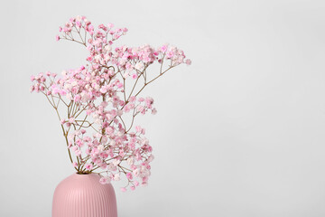 Obraz premium Beautiful gypsophila flowers in pink vase on white background