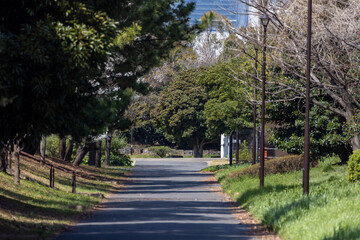 都内の公園の風景
