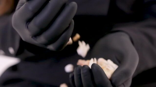 female hands in black gloves pour from hand to hand human wisdom teeth pull out tooth dentistry black background black clothes tooth extraction scary video halloween dentistry fears