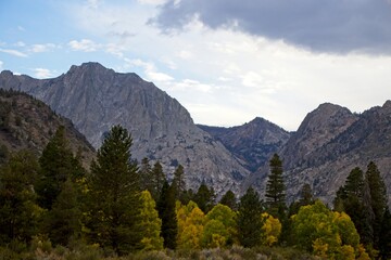 Driving through June Lake loop in the Eastern Sierra, where towering mountains loom overhead and fall colors begin to show on some of the trees at their base.